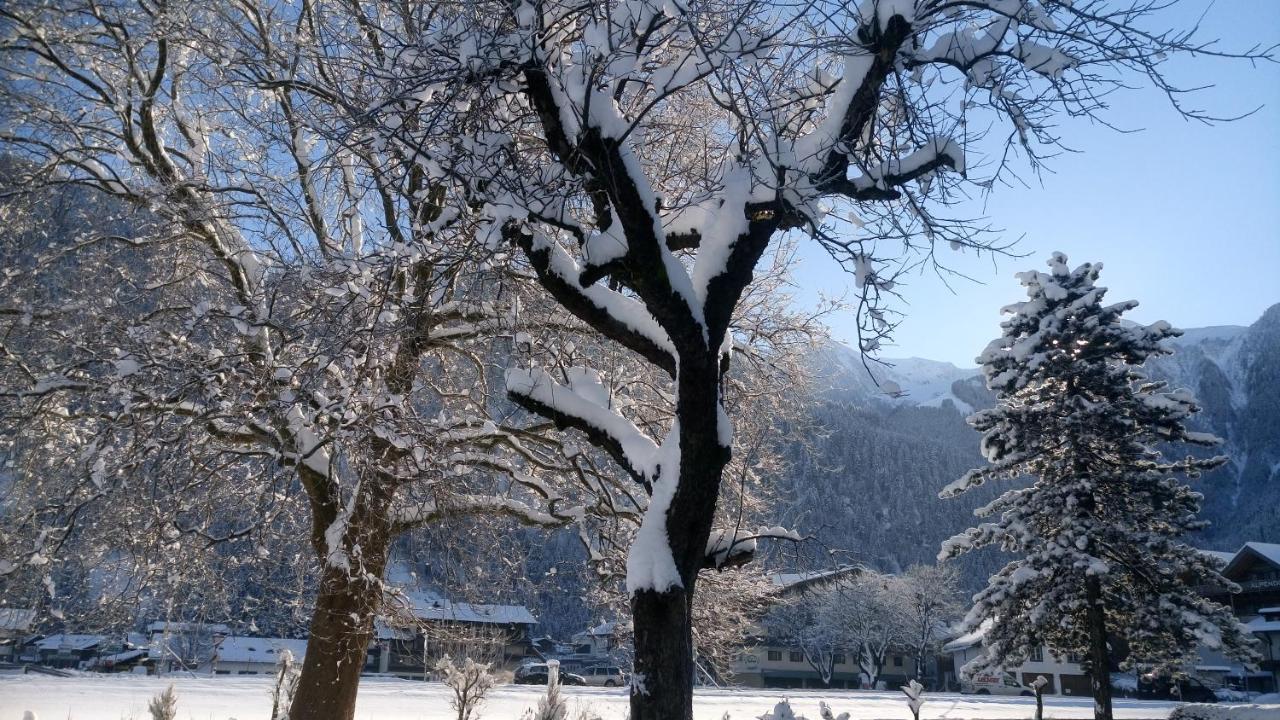 Hotel Garni Birkenhof 메이른호픈 외부 사진